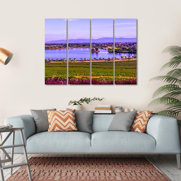 Tea Plantation With Lake Canvas Wall Art-4 Horizontal-Gallery Wrap-34" x 24"-Tiaracle