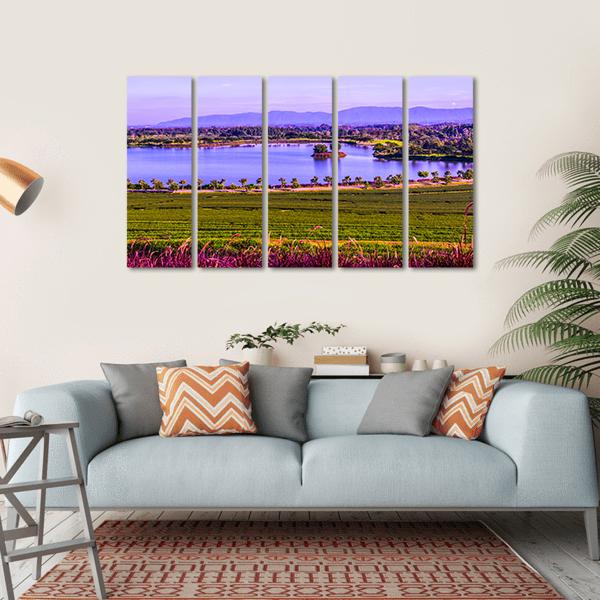 Tea Plantation With Lake Canvas Wall Art-5 Horizontal-Gallery Wrap-22" x 12"-Tiaracle