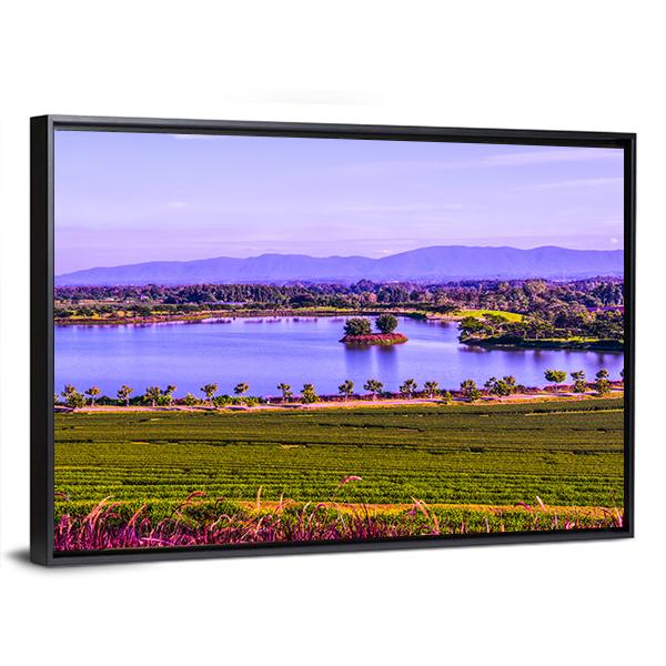 Tea Plantation With Lake Canvas Wall Art-3 Horizontal-Gallery Wrap-25" x 16"-Tiaracle