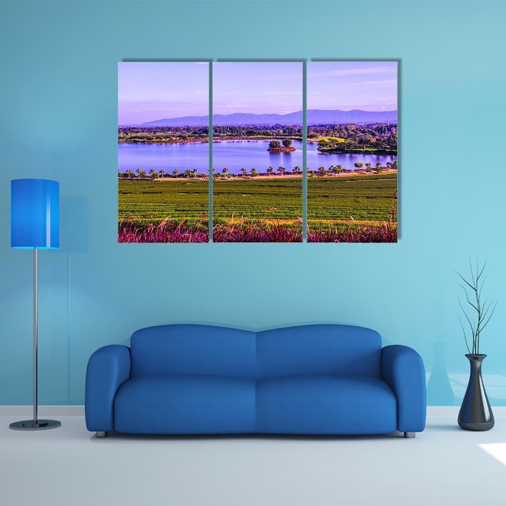 Tea Plantation With Lake Canvas Wall Art-3 Horizontal-Gallery Wrap-37" x 24"-Tiaracle