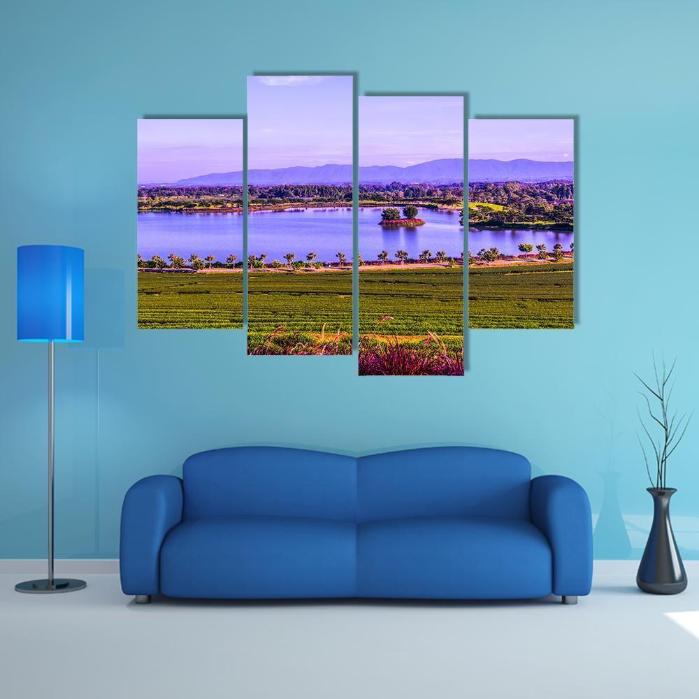 Tea Plantation With Lake Canvas Wall Art-4 Pop-Gallery Wrap-50" x 32"-Tiaracle