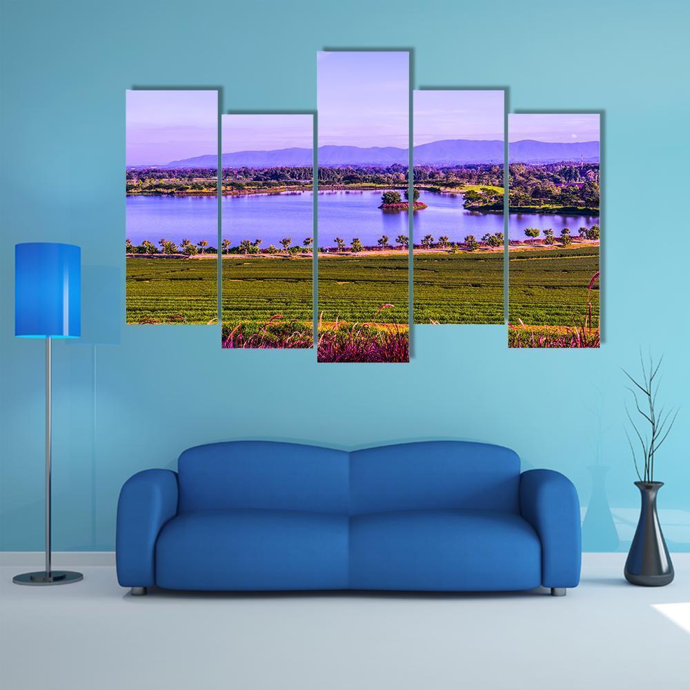 Tea Plantation With Lake Canvas Wall Art-5 Pop-Gallery Wrap-47" x 32"-Tiaracle
