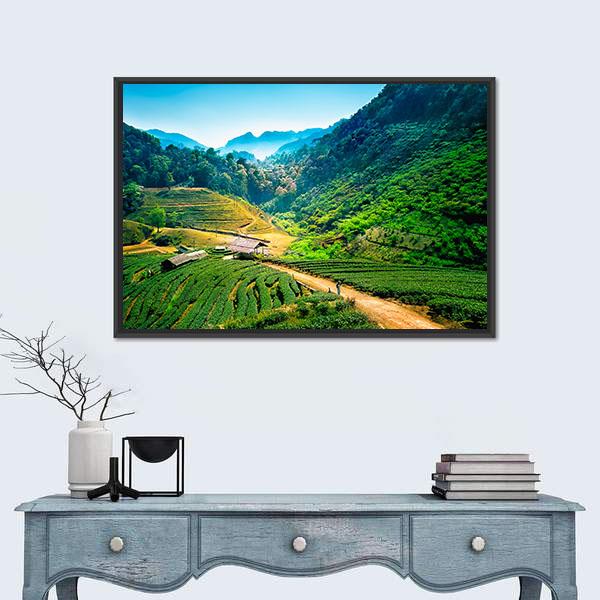 Tea Plantations On Angkhang Mountain Canvas Wall Art-3 Horizontal-Gallery Wrap-25" x 16"-Tiaracle