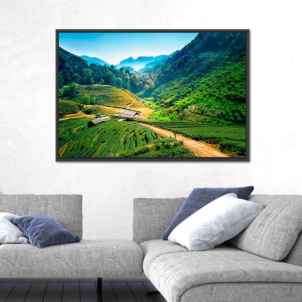 Tea Plantations On Angkhang Mountain Canvas Wall Art-1 Piece-Floating Frame-24" x 16"-Tiaracle