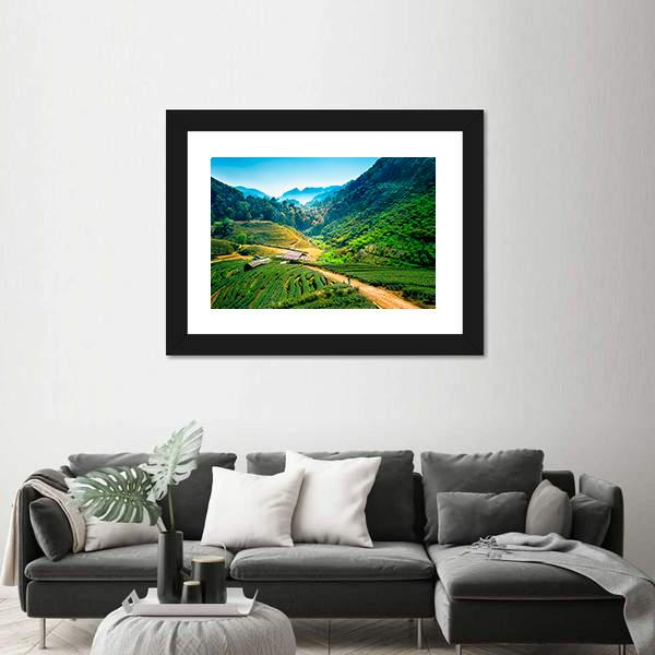 Tea Plantations On Angkhang Mountain Canvas Wall Art-1 Piece-Framed Print-20" x 16"-Tiaracle