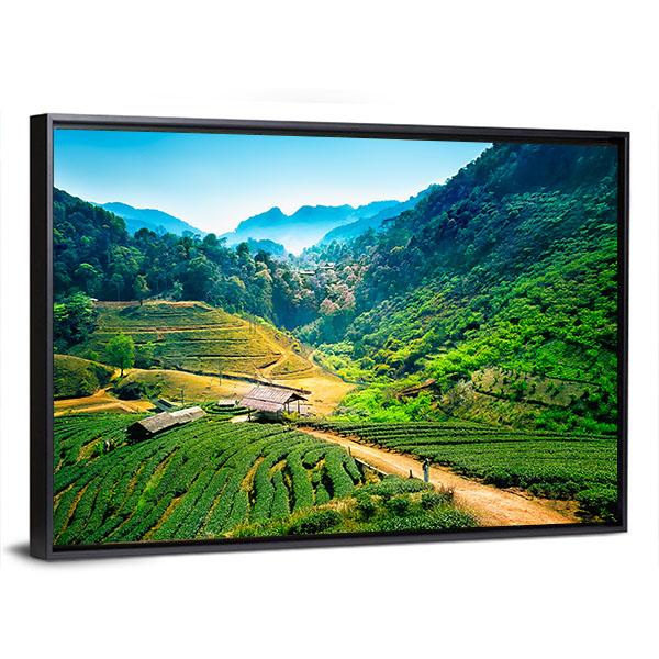Tea Plantations On Angkhang Mountain Canvas Wall Art-3 Horizontal-Gallery Wrap-25" x 16"-Tiaracle