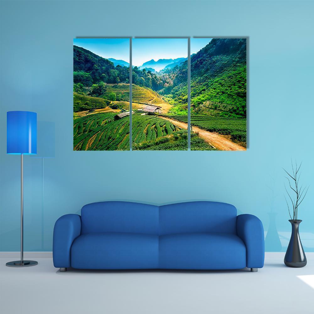 Tea Plantations On Angkhang Mountain Canvas Wall Art-3 Horizontal-Gallery Wrap-37" x 24"-Tiaracle