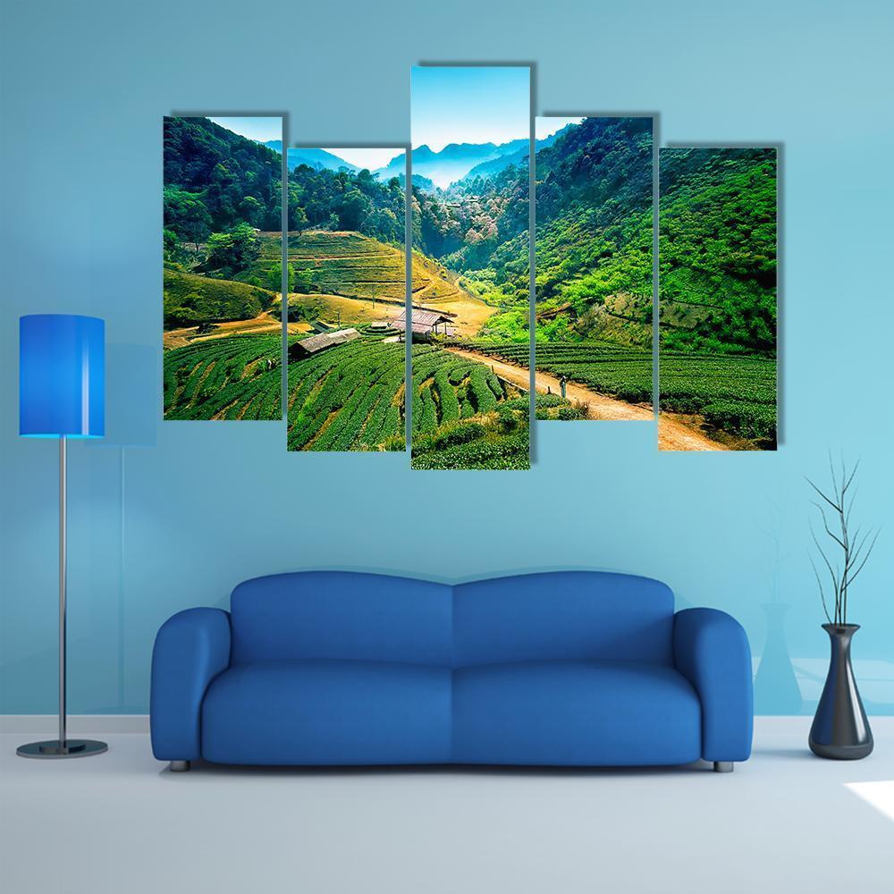 Tea Plantations On Angkhang Mountain Canvas Wall Art-5 Pop-Gallery Wrap-47" x 32"-Tiaracle