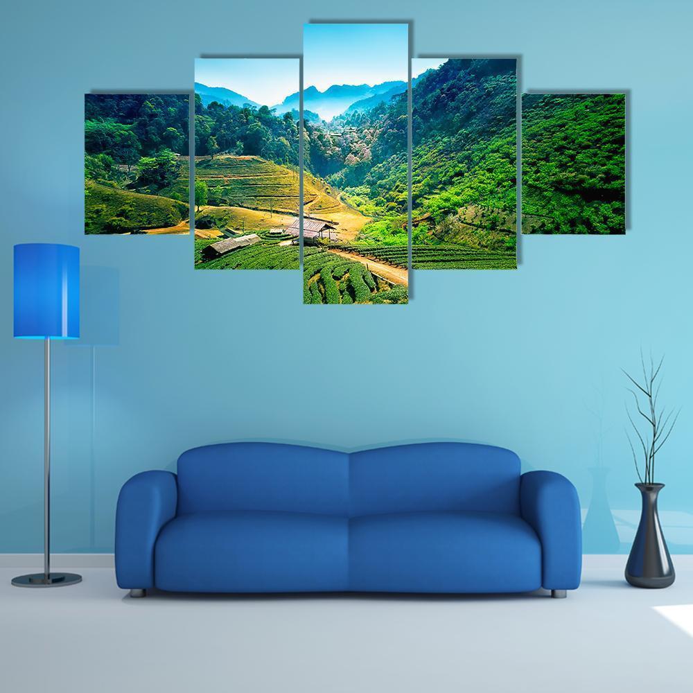 Tea Plantations On Angkhang Mountain Canvas Wall Art-5 Star-Gallery Wrap-62" x 32"-Tiaracle