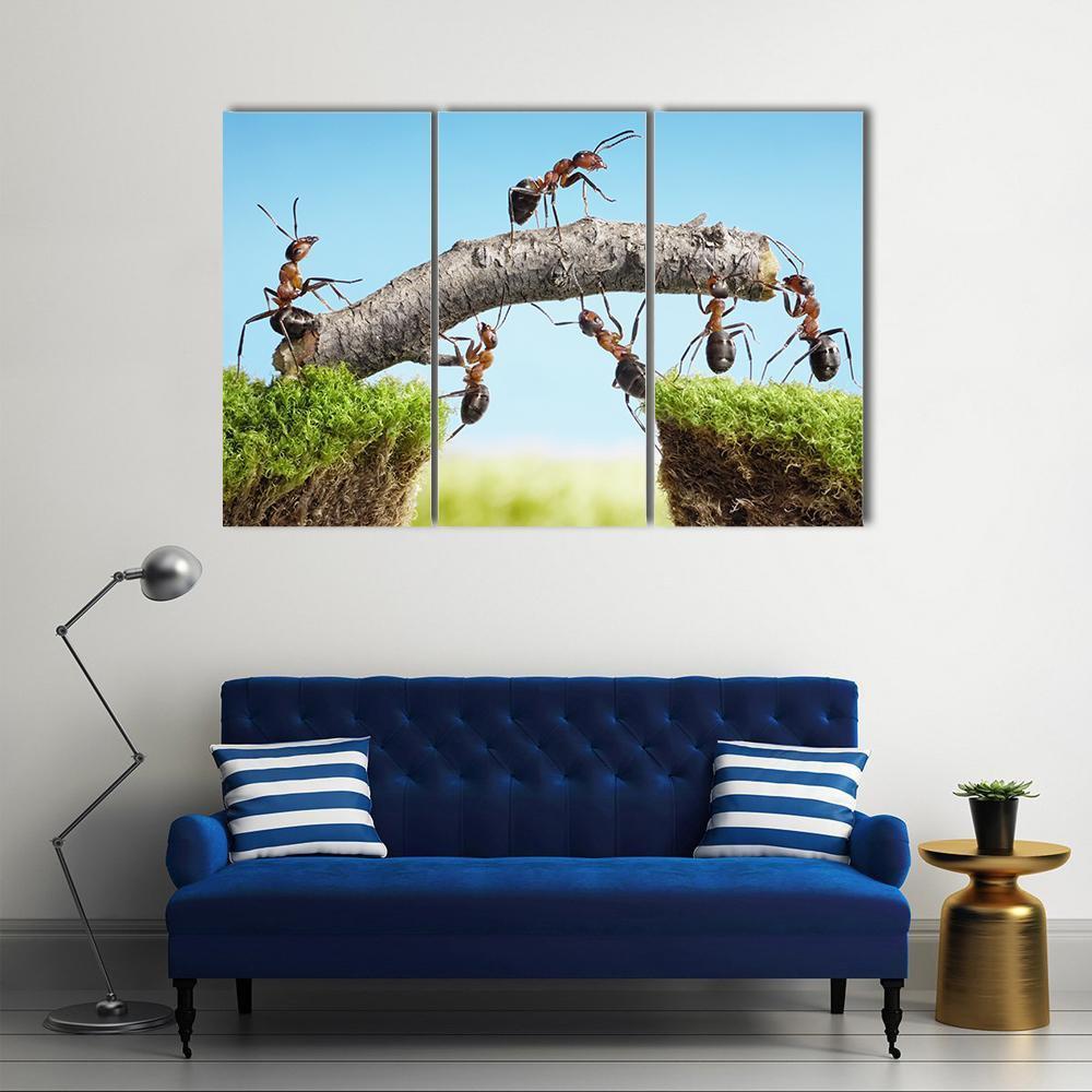 Ants Constructing Bridge Canvas Wall Art-3 Horizontal-Gallery Wrap-37" x 24"-Tiaracle