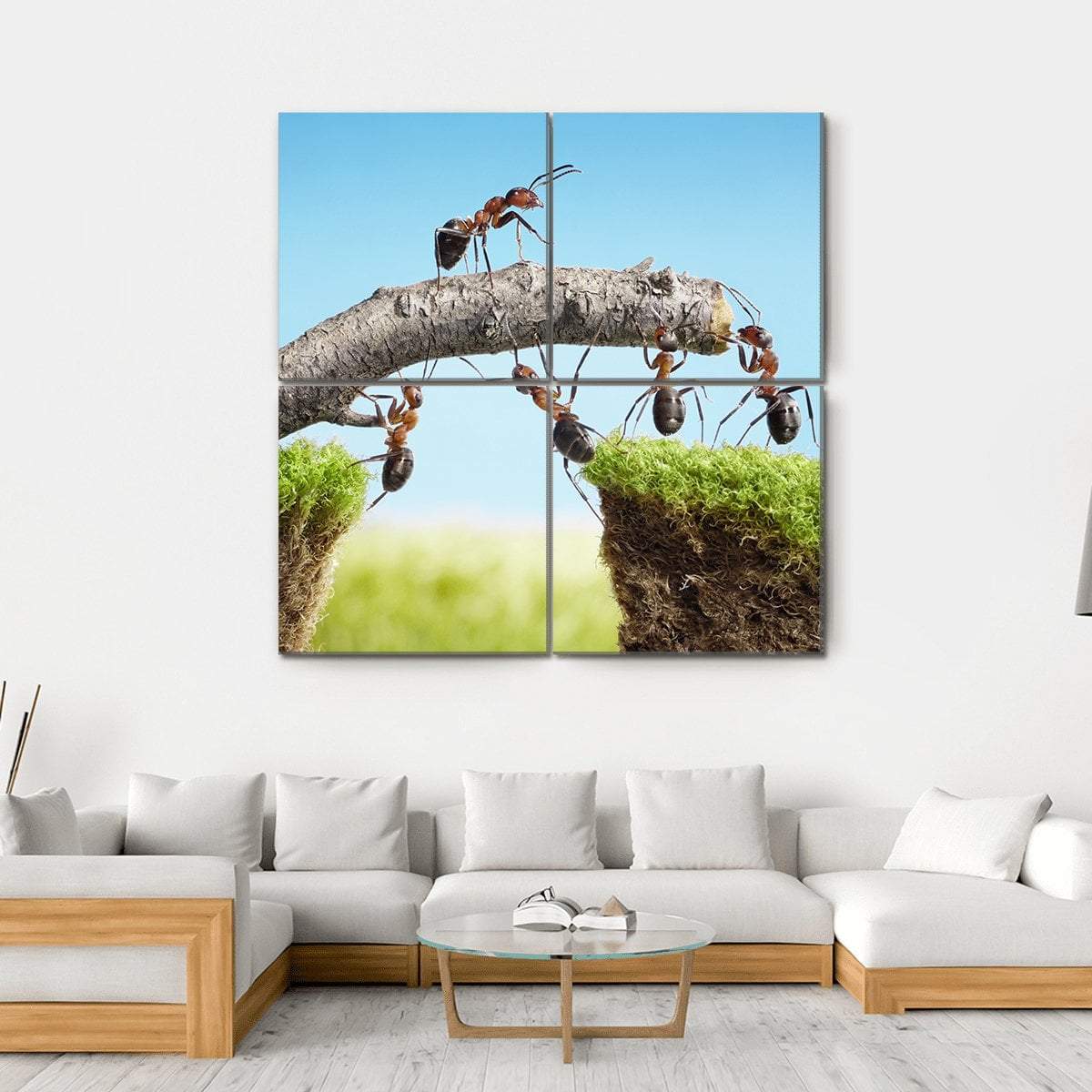 Ants Constructing Bridge Canvas Wall Art-4 Square-Gallery Wrap-17" x 17"-Tiaracle