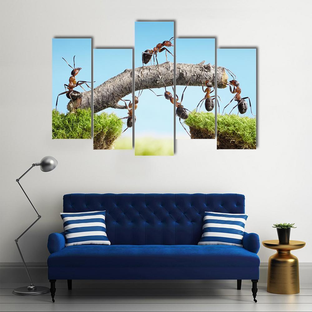 Ants Constructing Bridge Canvas Wall Art-5 Pop-Gallery Wrap-47" x 32"-Tiaracle