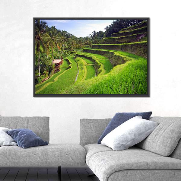 Terrace Rice Fields In Indonesia Canvas Wall Art-1 Piece-Floating Frame-24" x 16"-Tiaracle