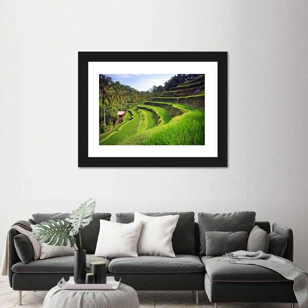 Terrace Rice Fields In Indonesia Canvas Wall Art-1 Piece-Framed Print-20" x 16"-Tiaracle