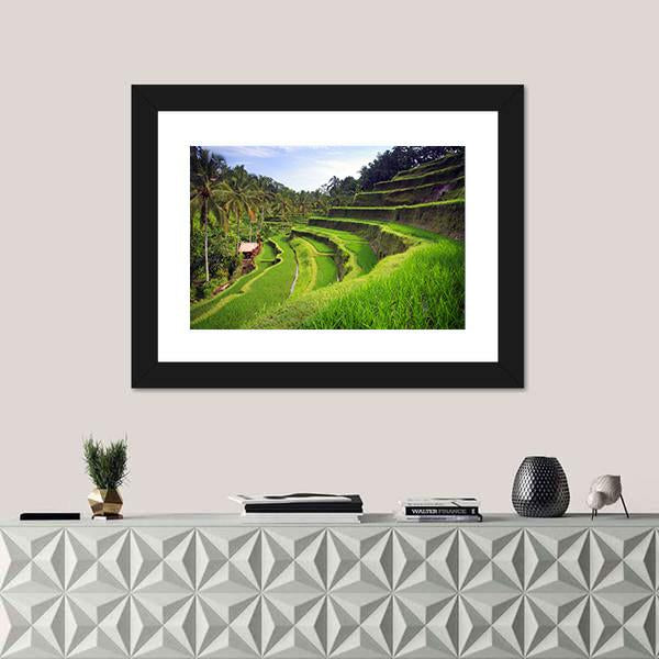Terrace Rice Fields In Indonesia Canvas Wall Art-3 Horizontal-Gallery Wrap-25" x 16"-Tiaracle