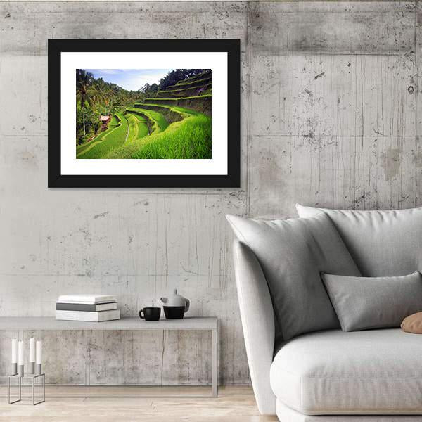 Terrace Rice Fields In Indonesia Canvas Wall Art-3 Horizontal-Gallery Wrap-25" x 16"-Tiaracle