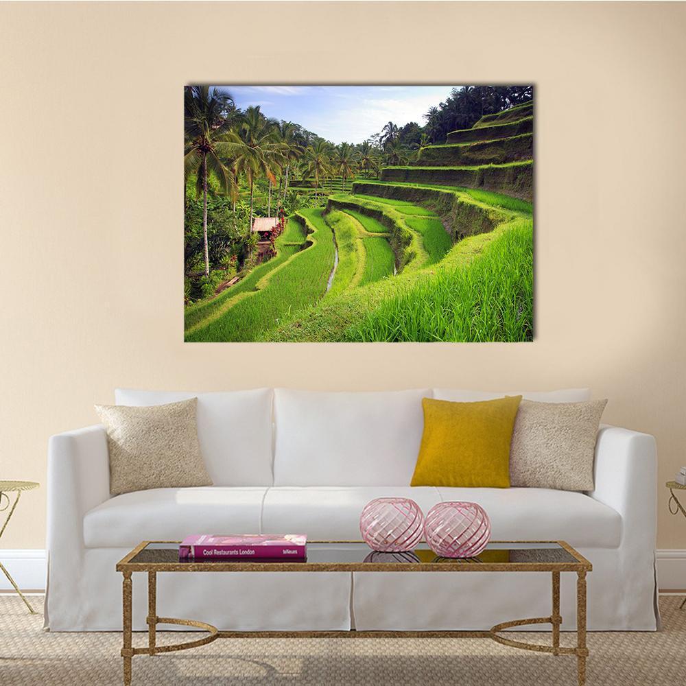 Terrace Rice Fields in Indonesia Canvas Wall Art in green and blue, single panel hung on a wall