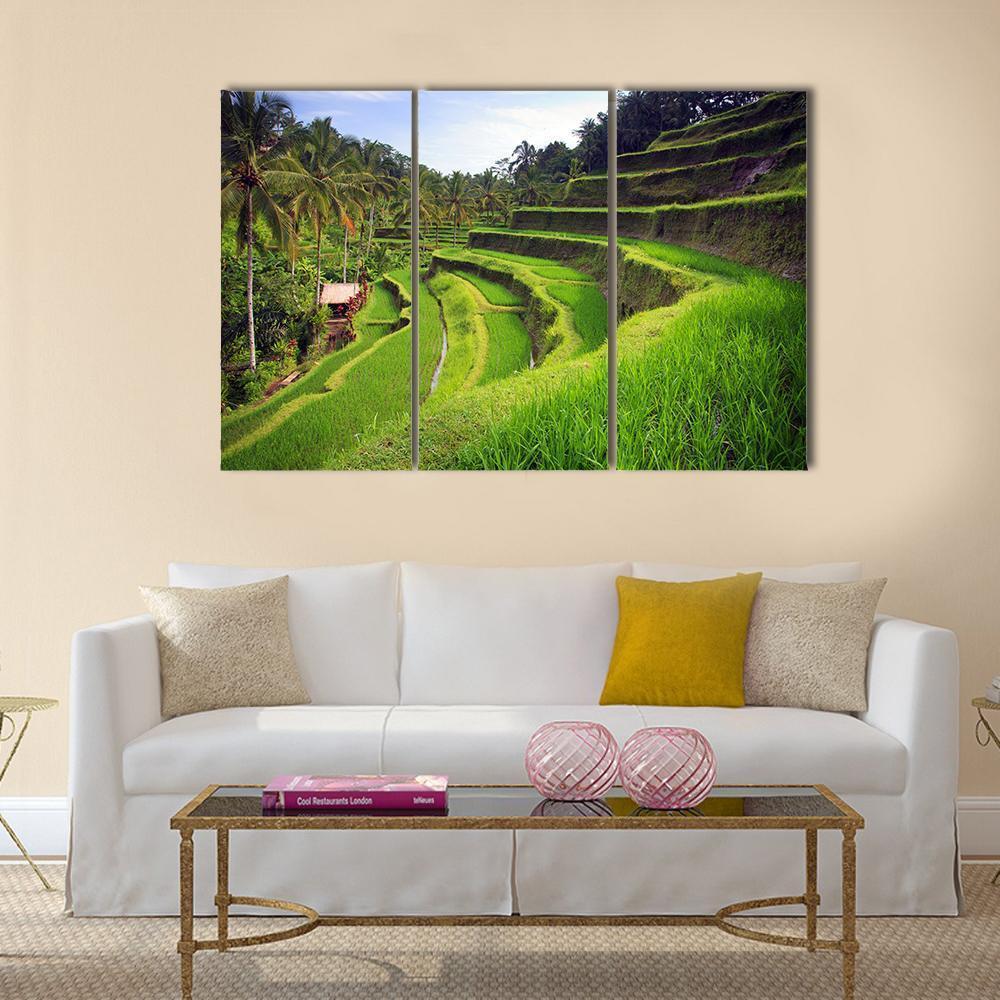 Terrace Rice Fields In Indonesia Canvas Wall Art-3 Horizontal-Gallery Wrap-37" x 24"-Tiaracle