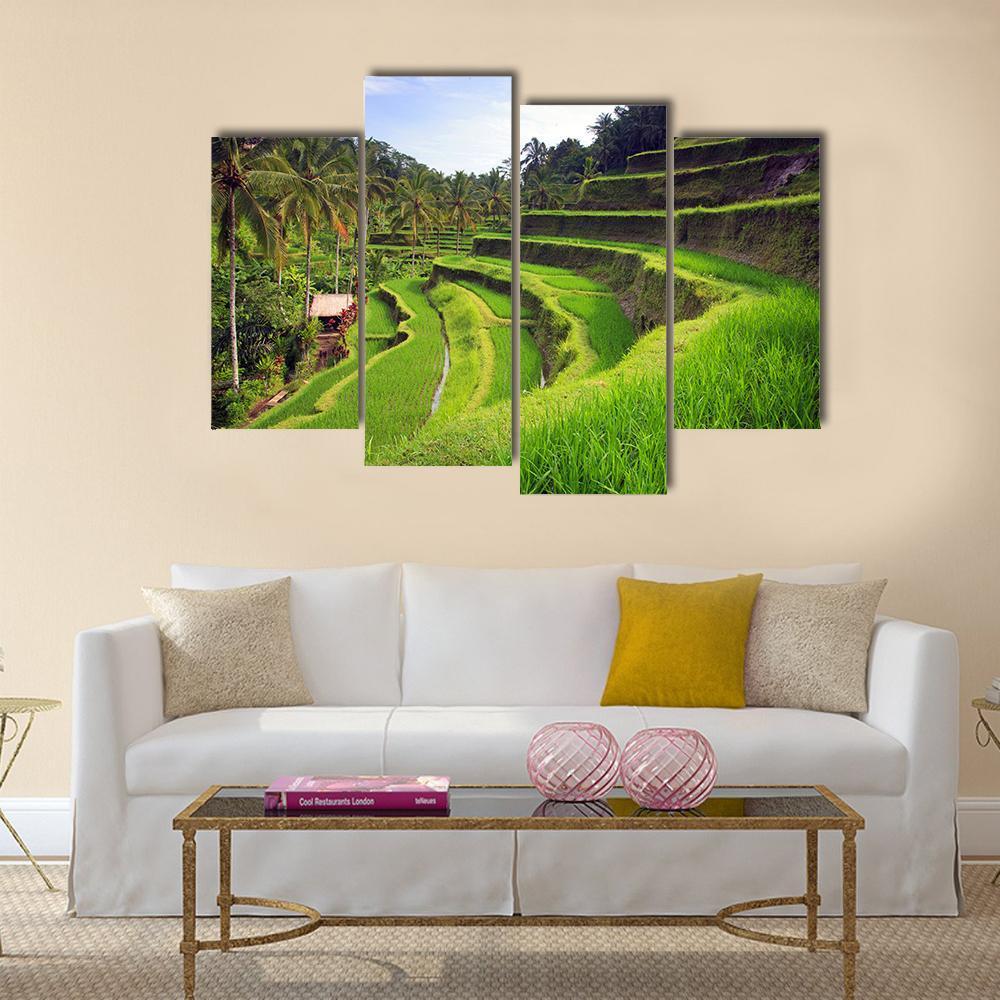 Terrace Rice Fields In Indonesia Canvas Wall Art-4 Pop-Gallery Wrap-50" x 32"-Tiaracle
