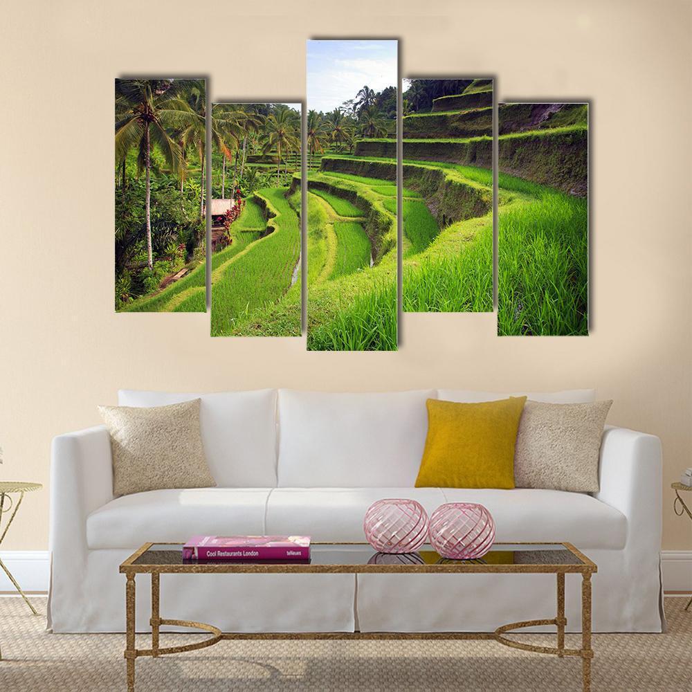 Terrace Rice Fields In Indonesia Canvas Wall Art-5 Pop-Gallery Wrap-47" x 32"-Tiaracle