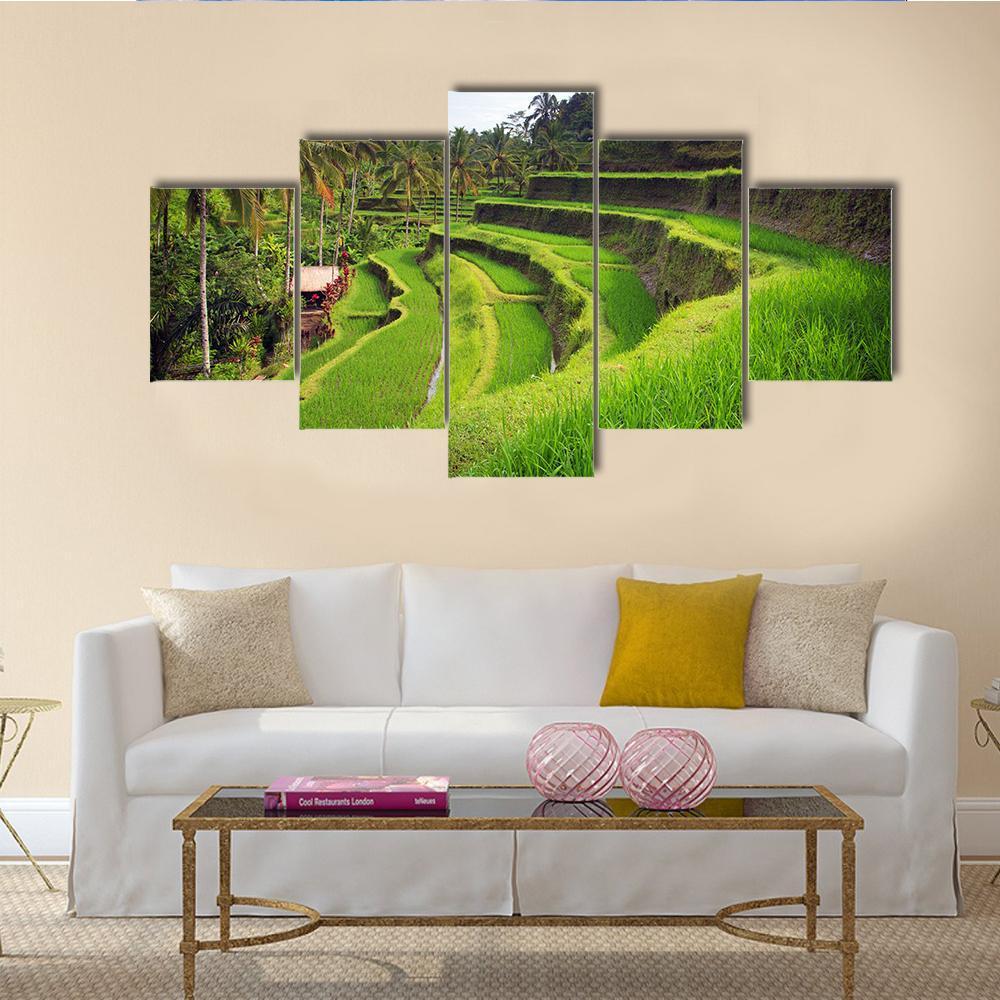 Terrace Rice Fields in Indonesia Canvas Wall Art in green and blue, 5 panel Star layout hung on a wall