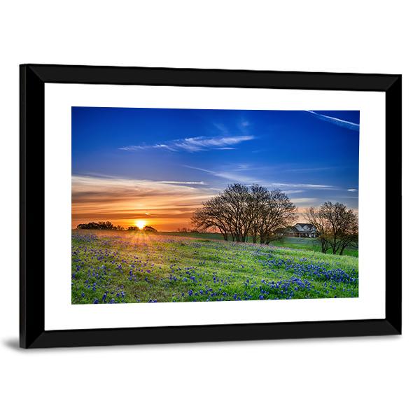 Texas Bluebonnet Field Canvas Wall Art-5 Horizontal-Gallery Wrap-22" x 12"-Tiaracle