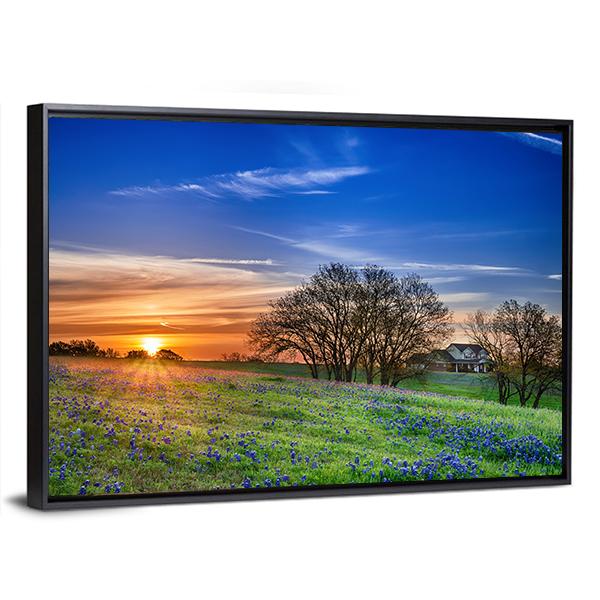 Texas Bluebonnet Field Canvas Wall Art-5 Horizontal-Gallery Wrap-22" x 12"-Tiaracle
