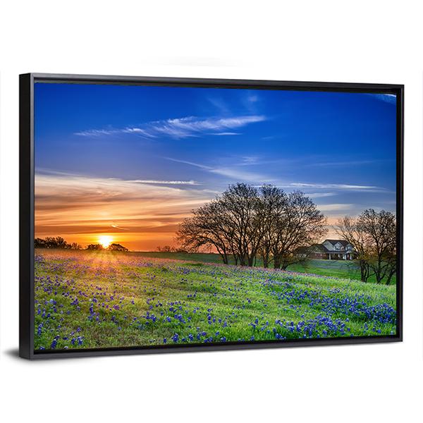 Texas Bluebonnet Field Canvas Wall Art-3 Horizontal-Gallery Wrap-25" x 16"-Tiaracle