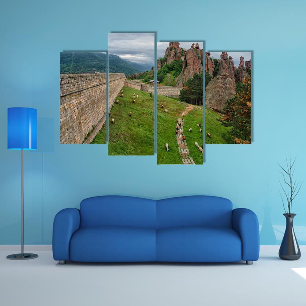 The Belogradchik Rocks Canvas Wall Art-4 Pop-Gallery Wrap-50" x 32"-Tiaracle