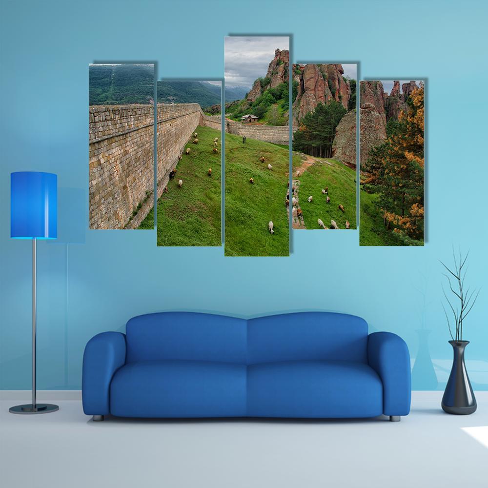 The Belogradchik Rocks Canvas Wall Art-5 Pop-Gallery Wrap-47" x 32"-Tiaracle