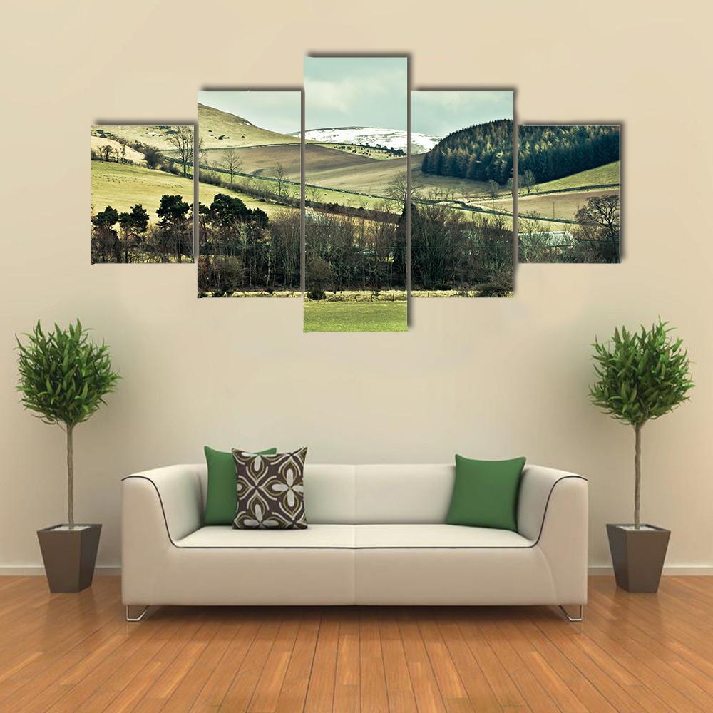 The Cheviot Hills Canvas Wall Art-4 Pop-Gallery Wrap-50" x 32"-Tiaracle