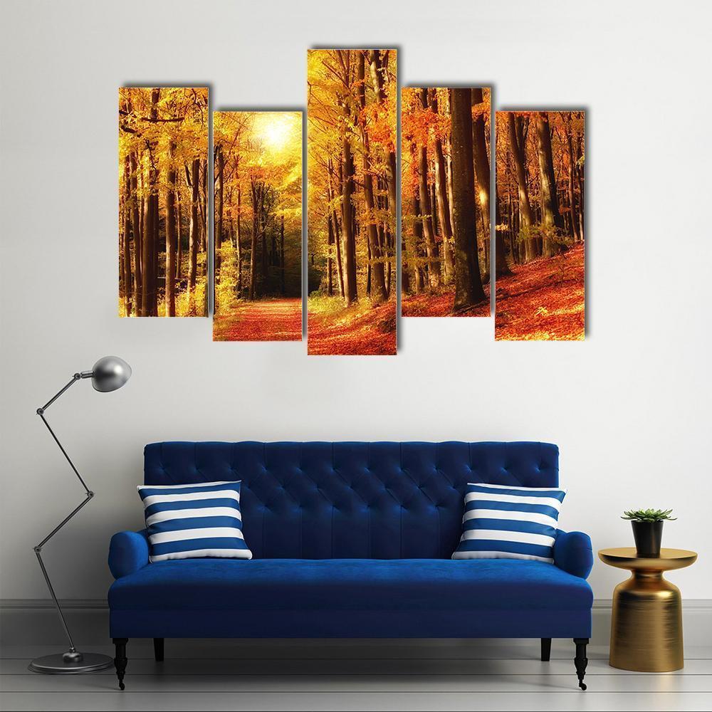 The Forest In Autumn Canvas Wall Art-5 Pop-Gallery Wrap-47" x 32"-Tiaracle