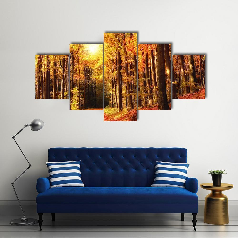 The Forest In Autumn Canvas Wall Art-5 Star-Gallery Wrap-62" x 32"-Tiaracle