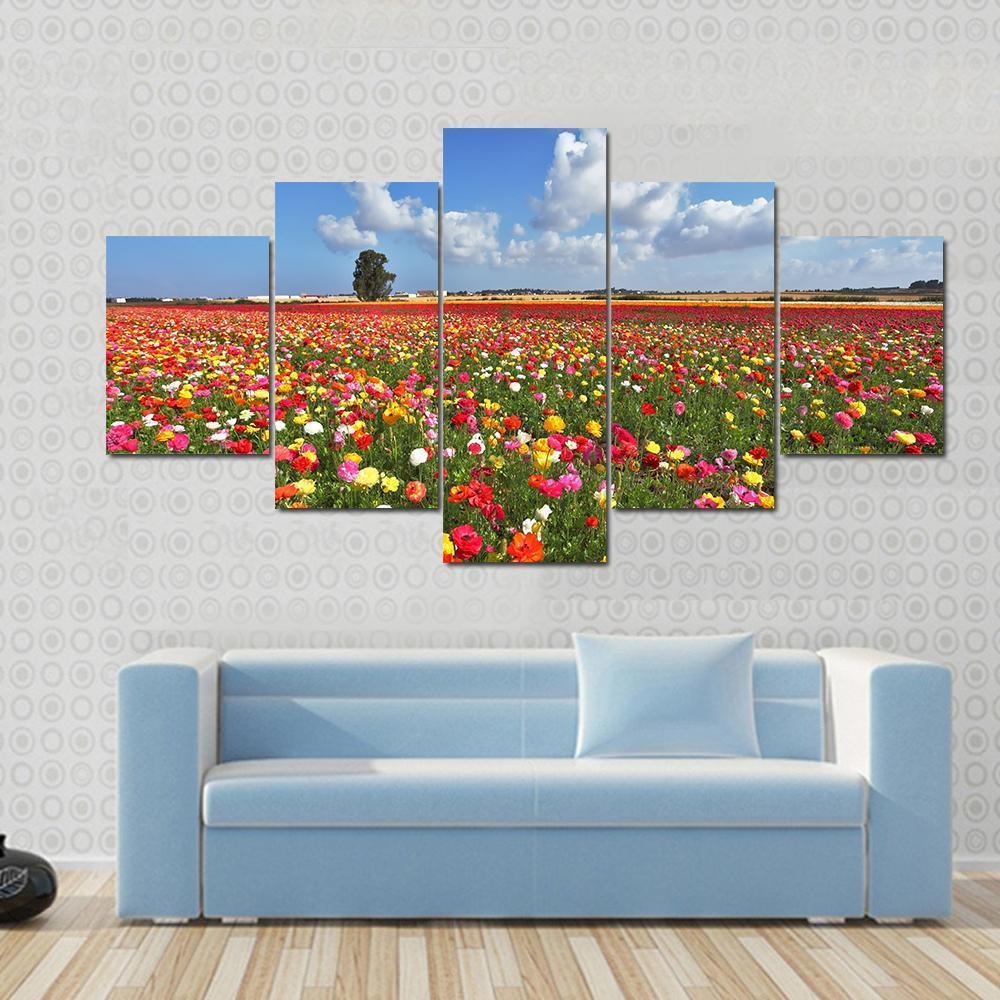 Magnificent Garden Buttercups Canvas Wall Art-5 Pop-Gallery Wrap-47" x 32"-Tiaracle