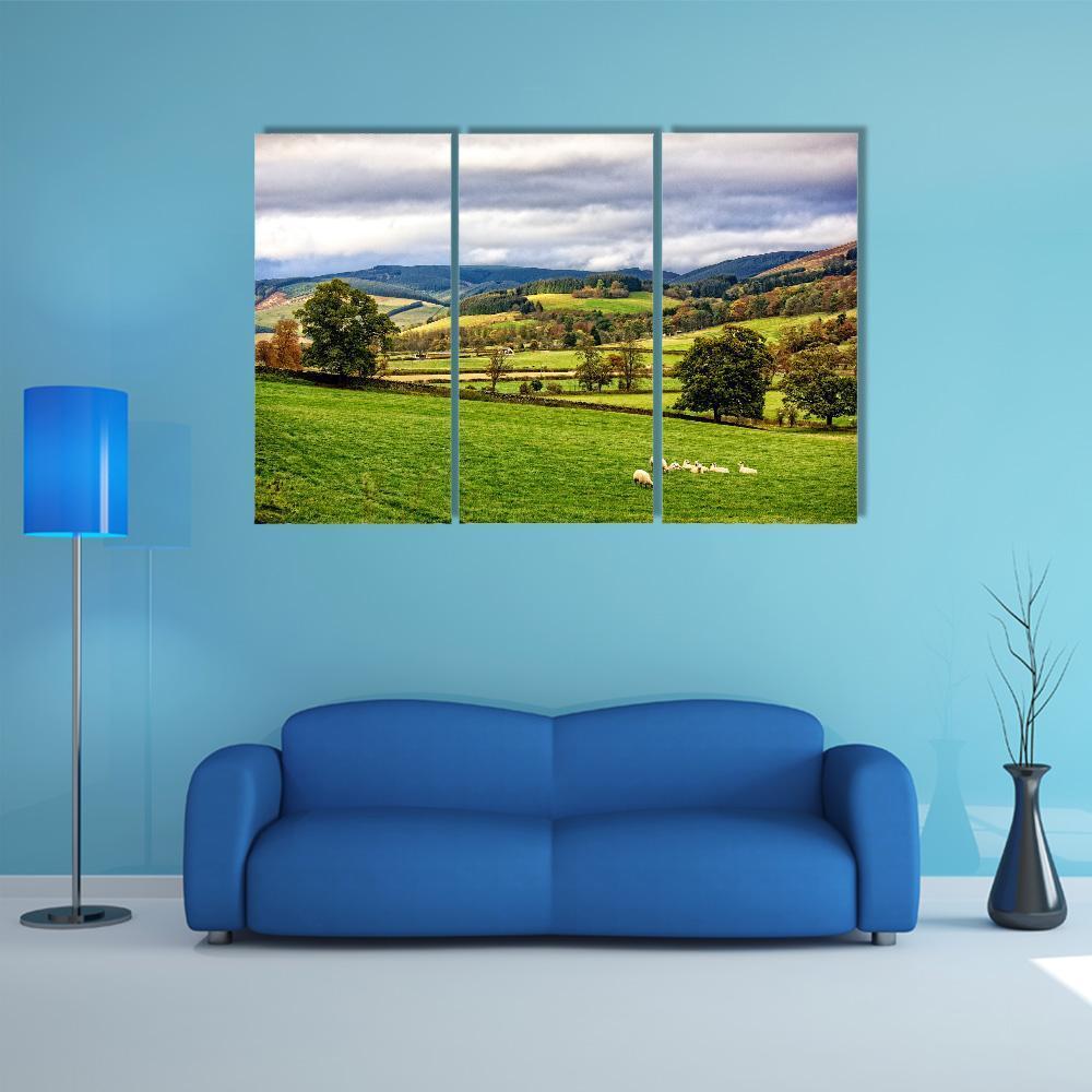 The Moorfoot Hills Canvas Wall Art-3 Horizontal-Gallery Wrap-37" x 24"-Tiaracle