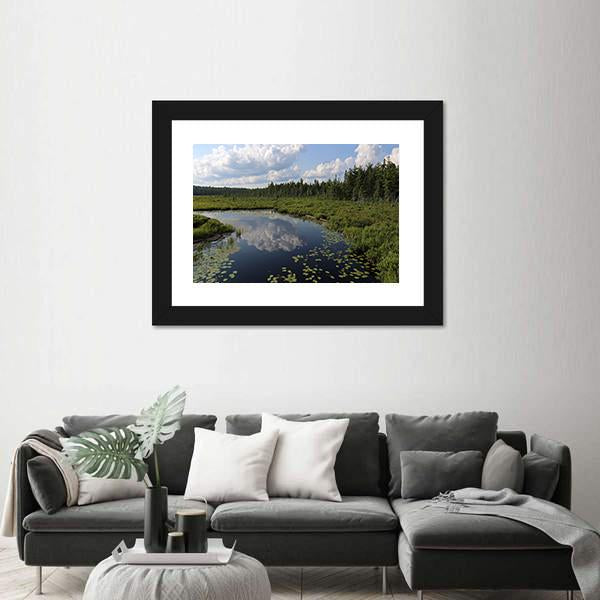 The Spruce Bog Canada Canvas Wall Art-1 Piece-Framed Print-20" x 16"-Tiaracle