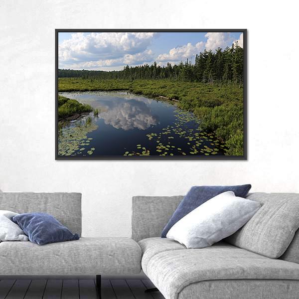 The Spruce Bog Canada Canvas Wall Art-1 Piece-Floating Frame-24" x 16"-Tiaracle