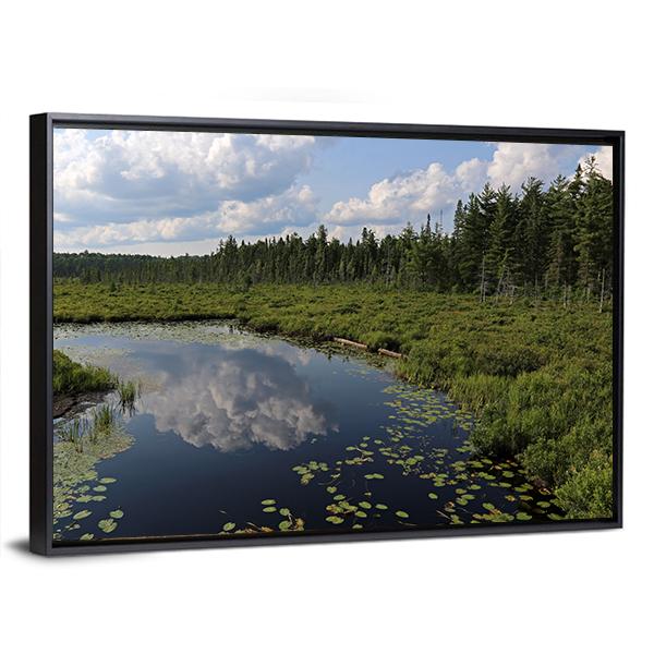 The Spruce Bog Canada Canvas Wall Art-3 Horizontal-Gallery Wrap-25" x 16"-Tiaracle