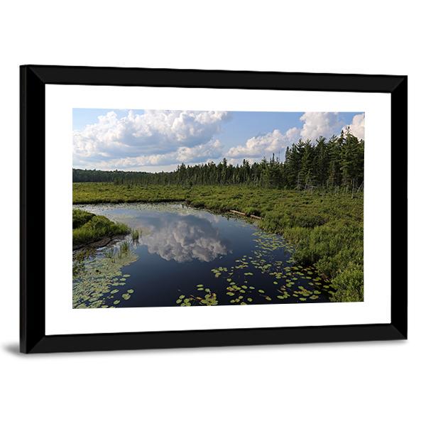 The Spruce Bog Canada Canvas Wall Art-3 Horizontal-Gallery Wrap-25" x 16"-Tiaracle