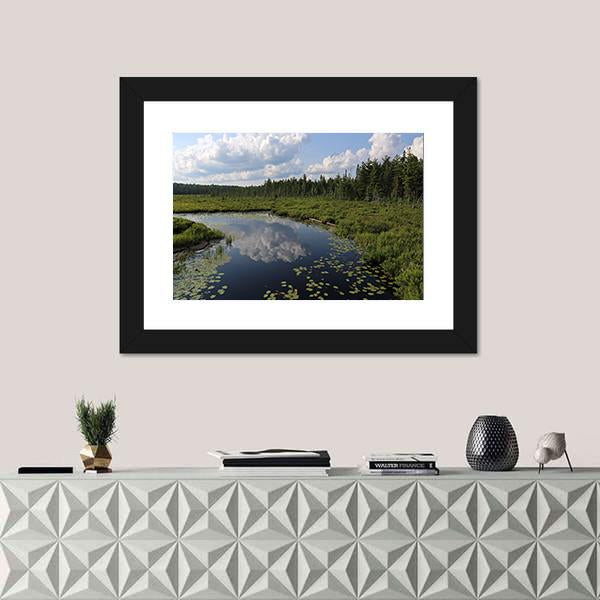 The Spruce Bog Canada Canvas Wall Art-3 Horizontal-Gallery Wrap-25" x 16"-Tiaracle