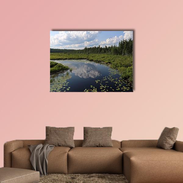 The Spruce Bog Canada Canvas Wall Art-1 Piece-Gallery Wrap-48" x 32"-Tiaracle