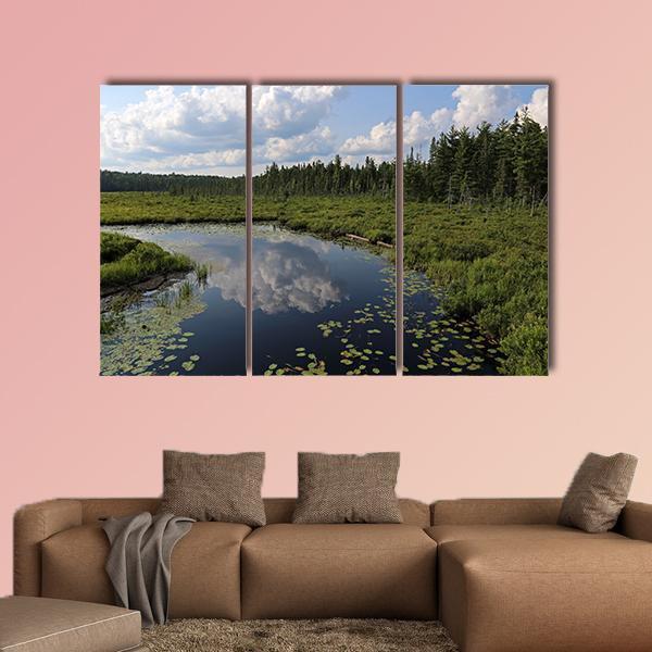 The Spruce Bog Canada Canvas Wall Art-4 Pop-Gallery Wrap-50" x 32"-Tiaracle