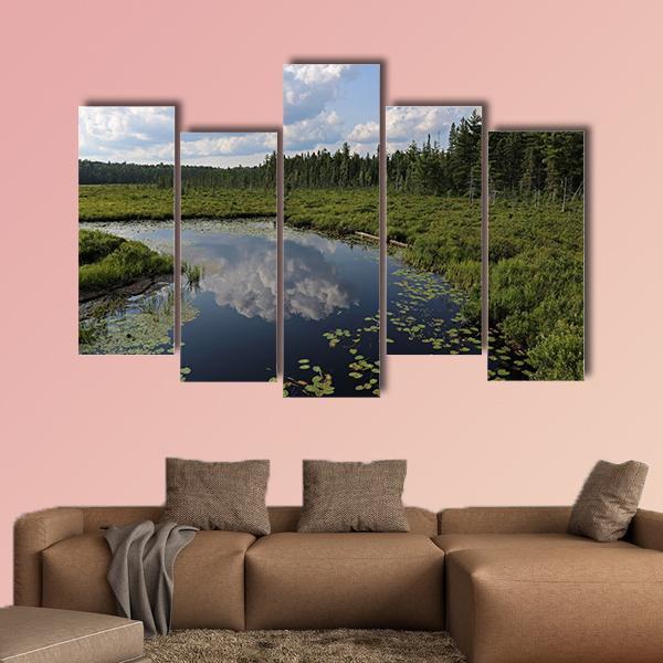 The Spruce Bog Canada Canvas Wall Art-5 Pop-Gallery Wrap-47" x 32"-Tiaracle