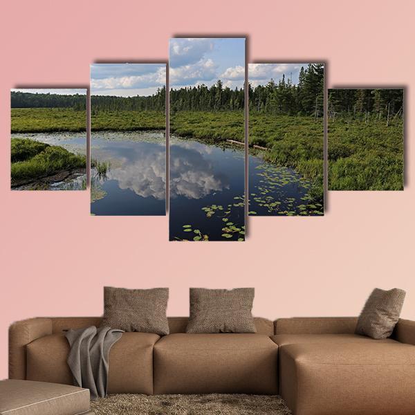The Spruce Bog Canada Canvas Wall Art-5 Star-Gallery Wrap-62" x 32"-Tiaracle