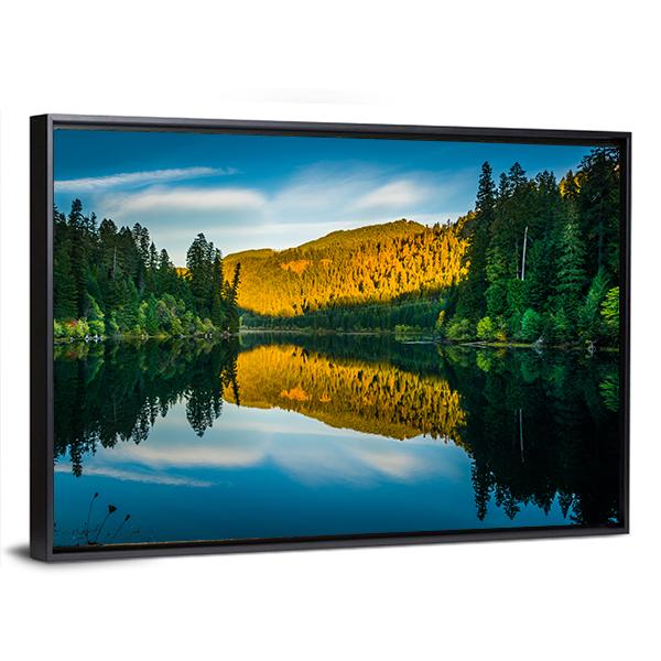 Toketee Lake In Oregon Panoramic Canvas Wall Art-1 Piece-36" x 12"-Tiaracle