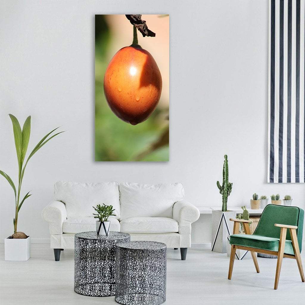 Tomato Fruit Tropical Plant Vertical Canvas Wall Art-1 Vertical-Gallery Wrap-12" x 24"-Tiaracle