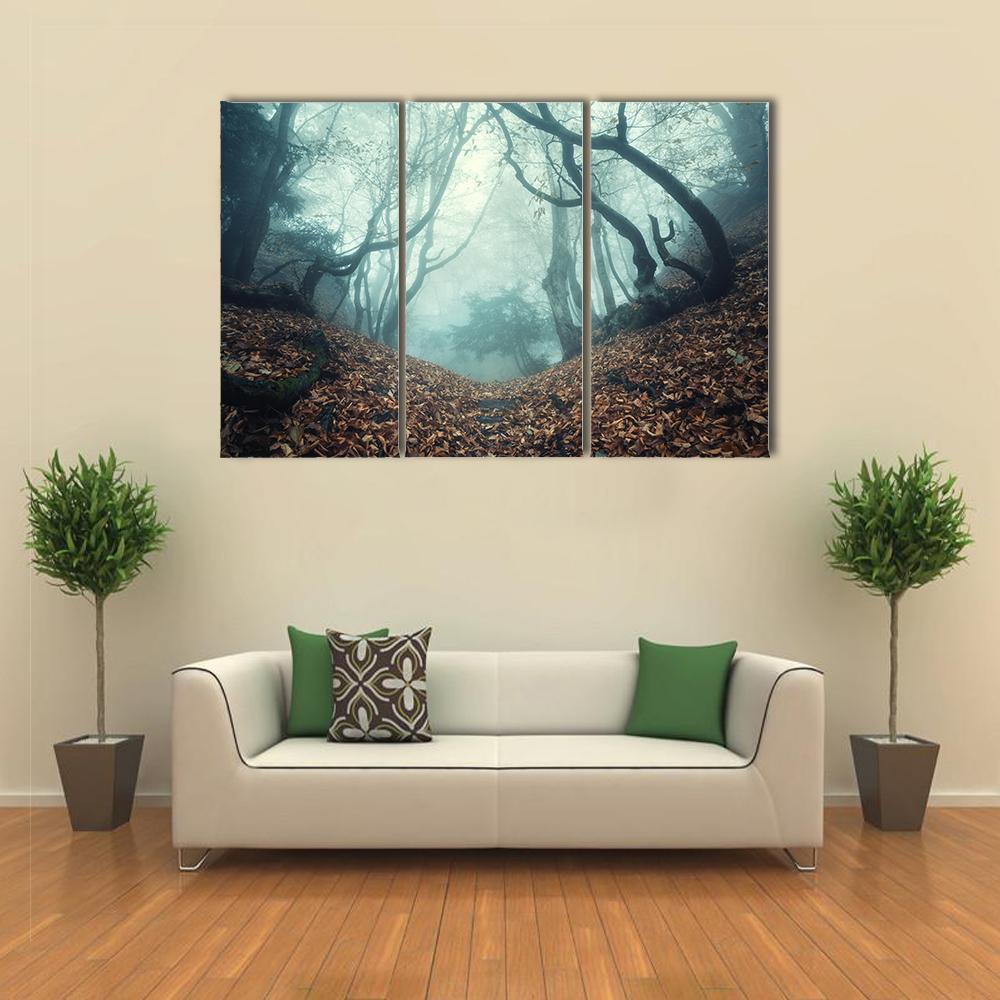 Trail Through A Mysterious Dark Old Forest In Fog Canvas Wall Art-3 Horizontal-Gallery Wrap-37" x 24"-Tiaracle