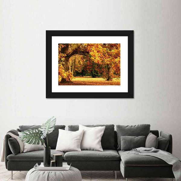 Tranquil Autumn Scenery Showing A Magnificent Oak Tree Canvas Wall Art-1 Piece-Framed Print-20" x 16"-Tiaracle