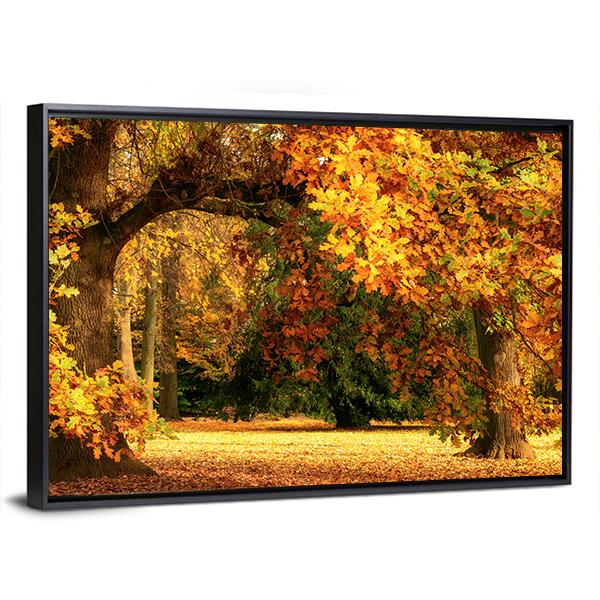 Tranquil Autumn Scenery Showing A Magnificent Oak Tree Canvas Wall Art-3 Horizontal-Gallery Wrap-25" x 16"-Tiaracle