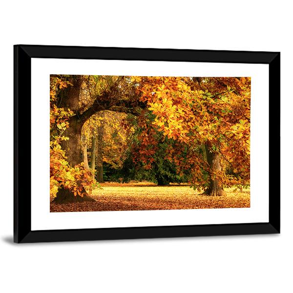 Tranquil Autumn Scenery Showing A Magnificent Oak Tree Canvas Wall Art-3 Horizontal-Gallery Wrap-25" x 16"-Tiaracle
